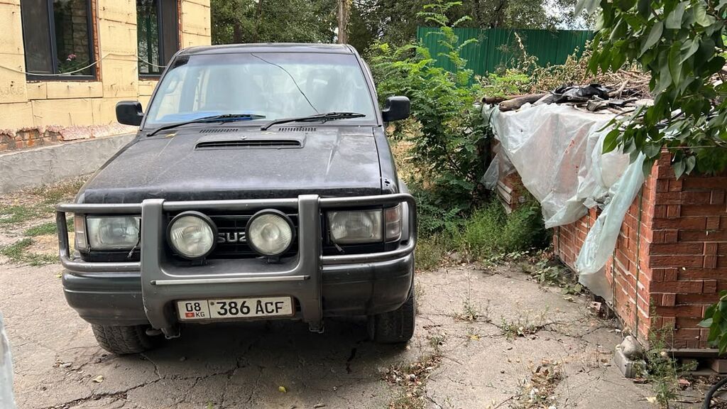 Isuzu Bighorn: 1995 г., Автомат, Дизель, Внедорожник: фото 1