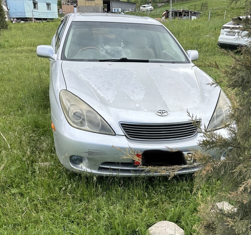 Toyota Windom