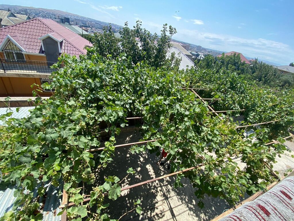 Masazır 8 otaq, 300 kv. m, Orta təmir