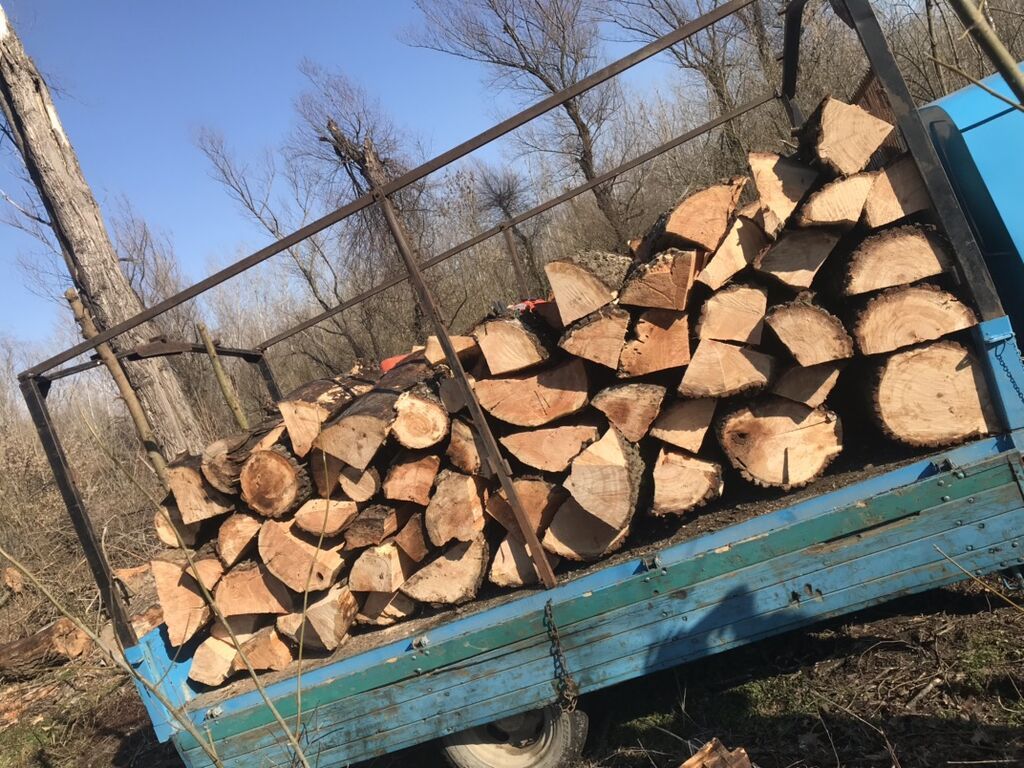 Ugalj i drvo za ogrev: Ogrevno drvo – vrba (vrba) - Vrsta: tvrda vrsta vrbe, sečena i