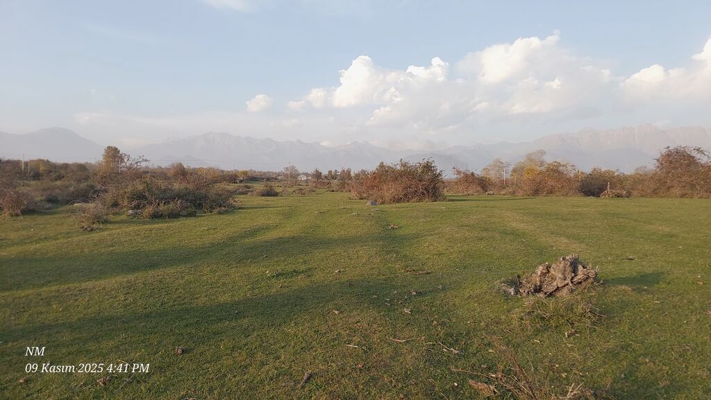 25 sot, Kənd təsərrüfatı, Mülkiyyətçi, Kupça (Çıxarış)