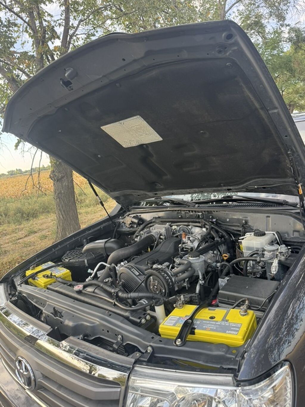 Toyota Land Cruiser: 2006 г., 4.2 л, Автомат, Дизель, Внедорожник: фото 6