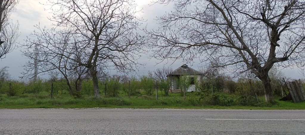 27 sot, Tikinti, Kupça (Çıxarış)