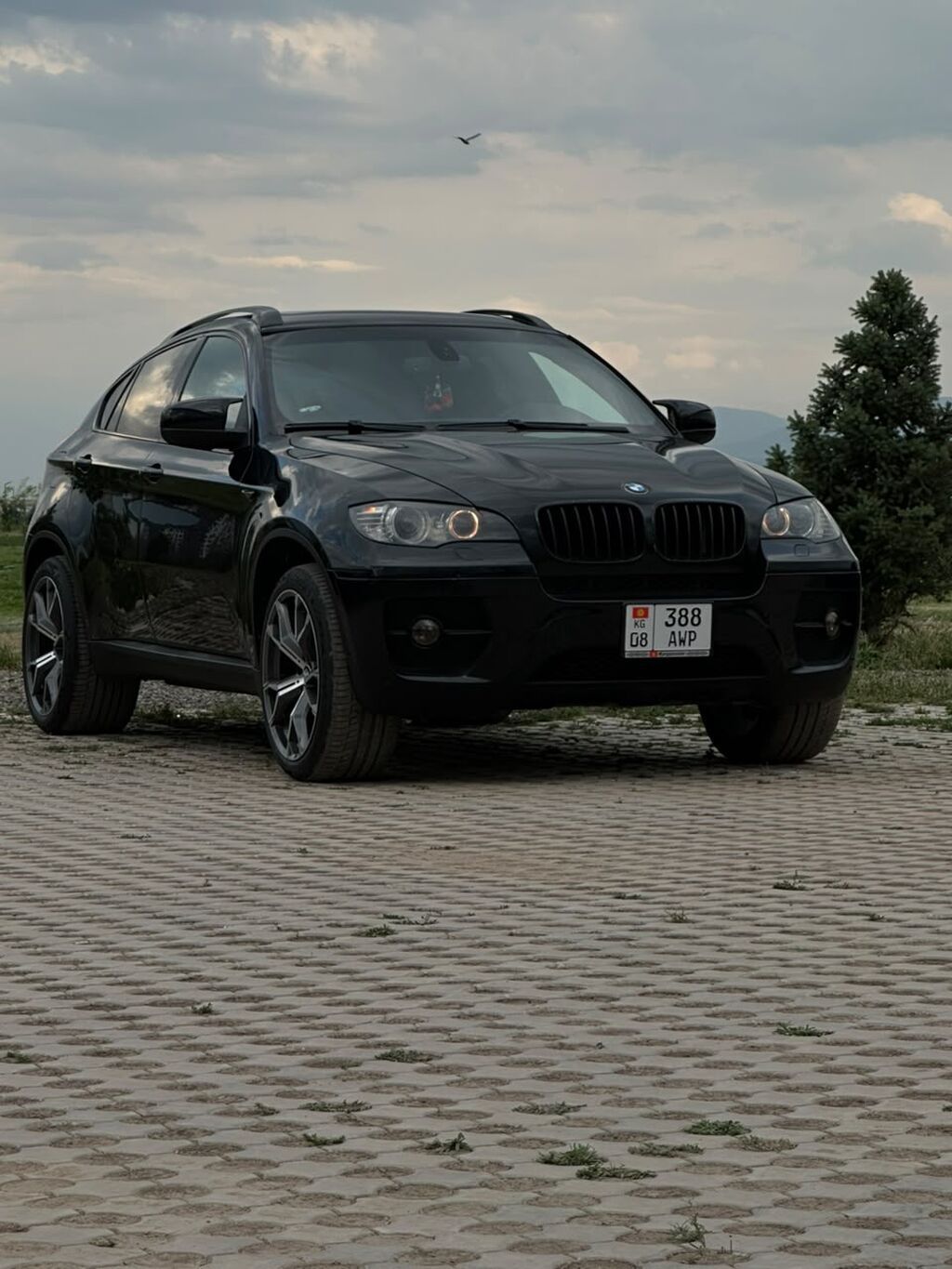 BMW X6: 2009 г., 3 л, Автомат, Бензин, Кроссовер: фото 2