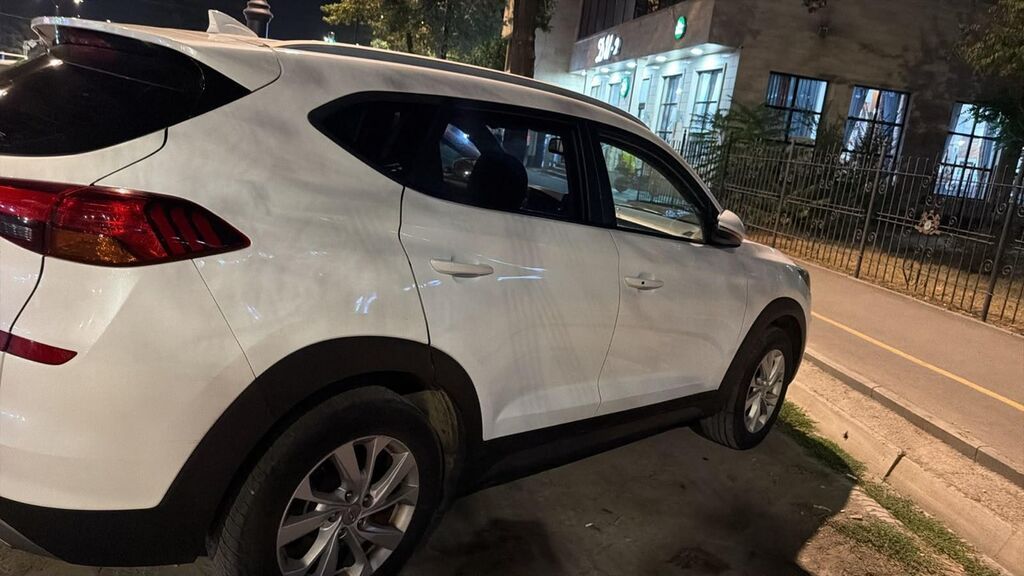 Hyundai Tucson: 2020 г., 1.6 л, Робот, Дизель, Кроссовер: фото 4