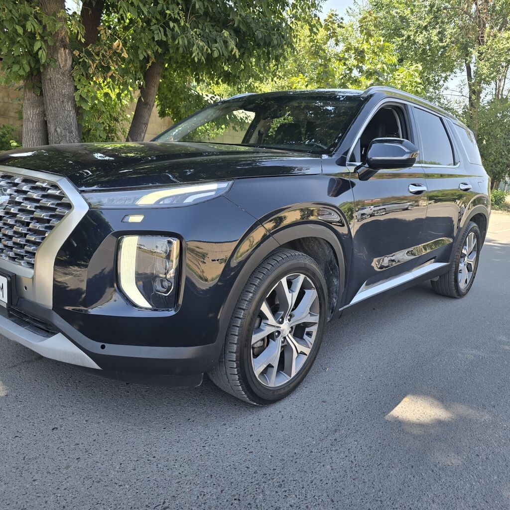 Hyundai Palisade: 2020 г., Кроссовер: фото 2
