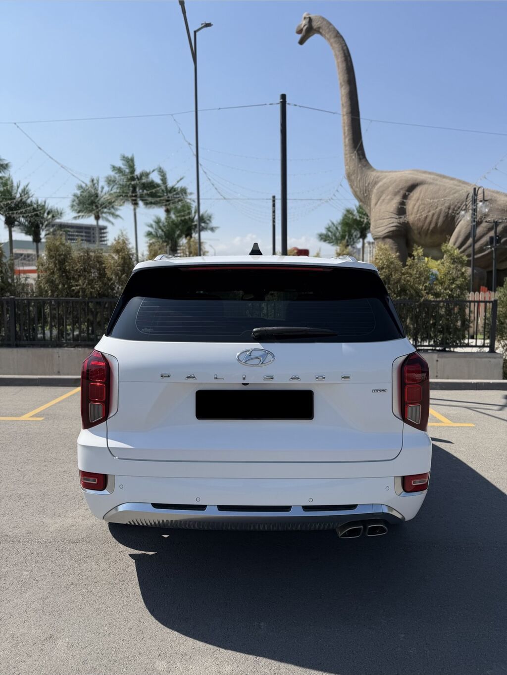 Hyundai Palisade: 2019 г., 2.2 л, Автомат, Дизель, Внедорожник: фото 5
