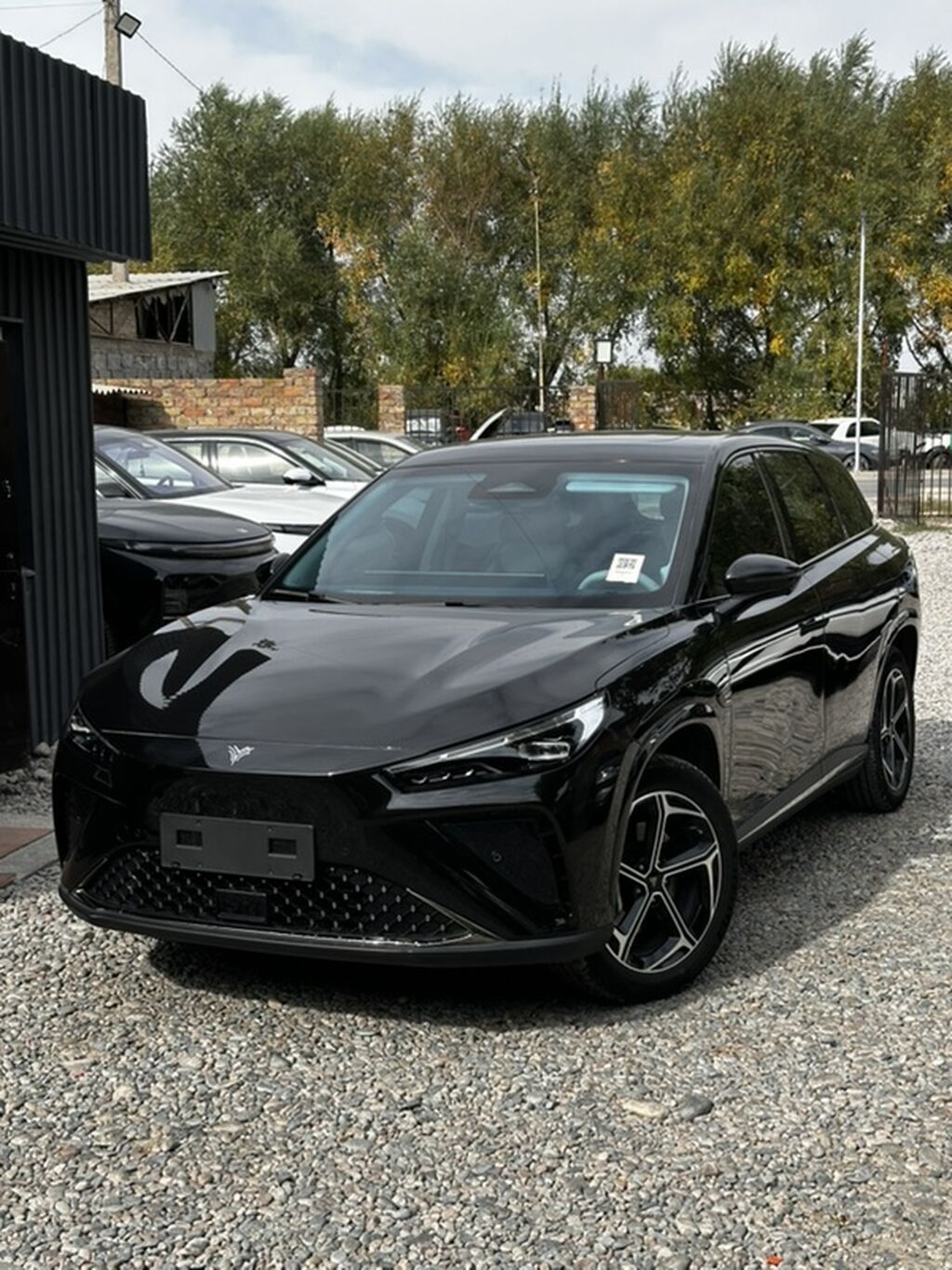 NETA L последовательный гибрид запасом хода 1310 EV (кроссовер, черный: фото 2
