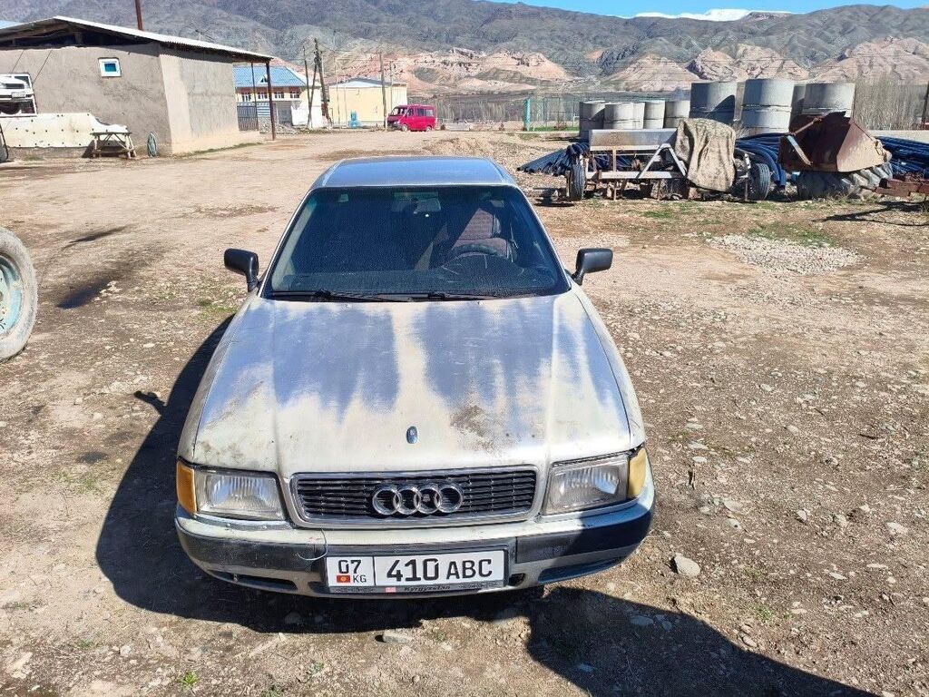 Audi 80: 1992 г., 2 л, Механика, Бензин, Седан: фото 2