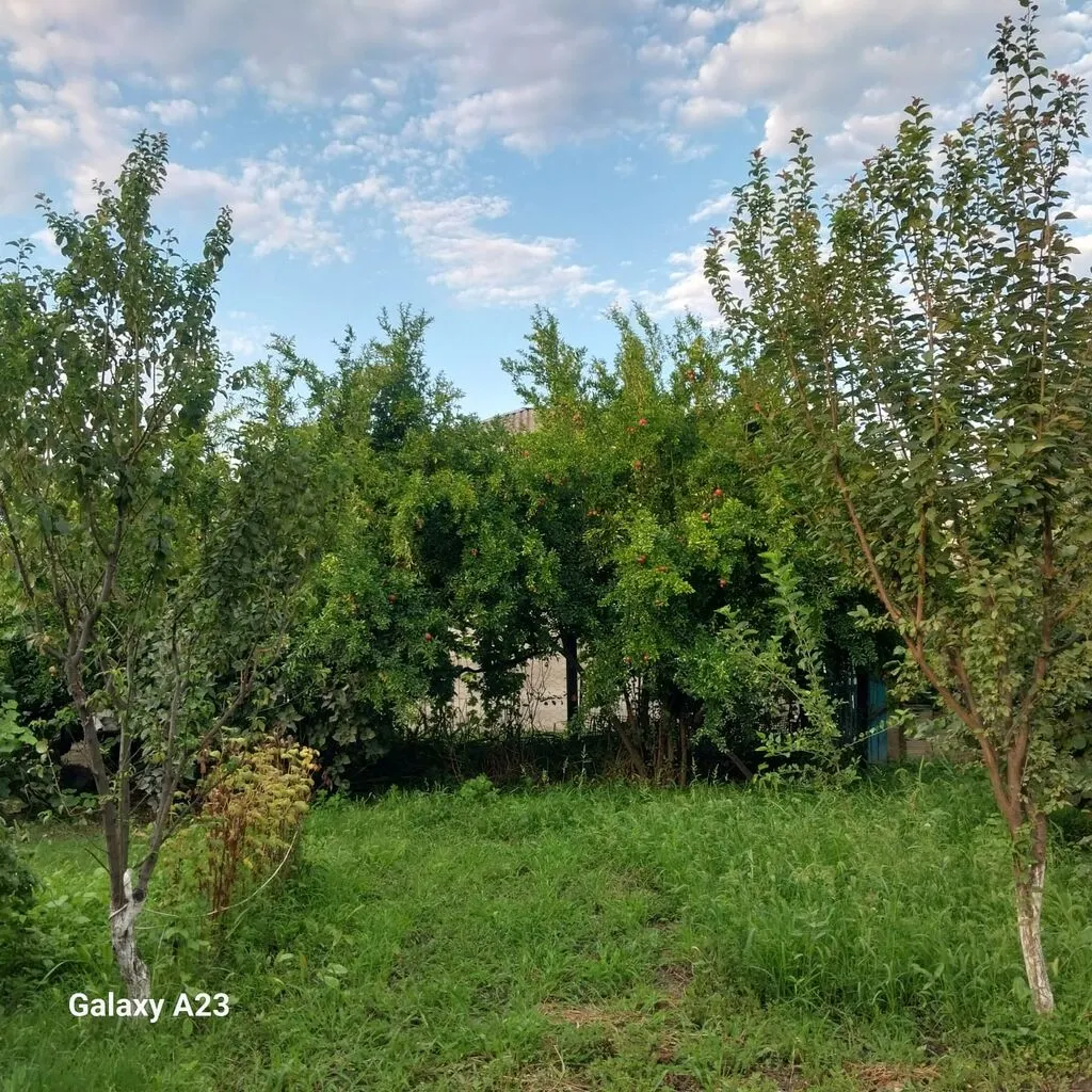 Həyət evi, 6 otaqlı, satılır, Padar — 8