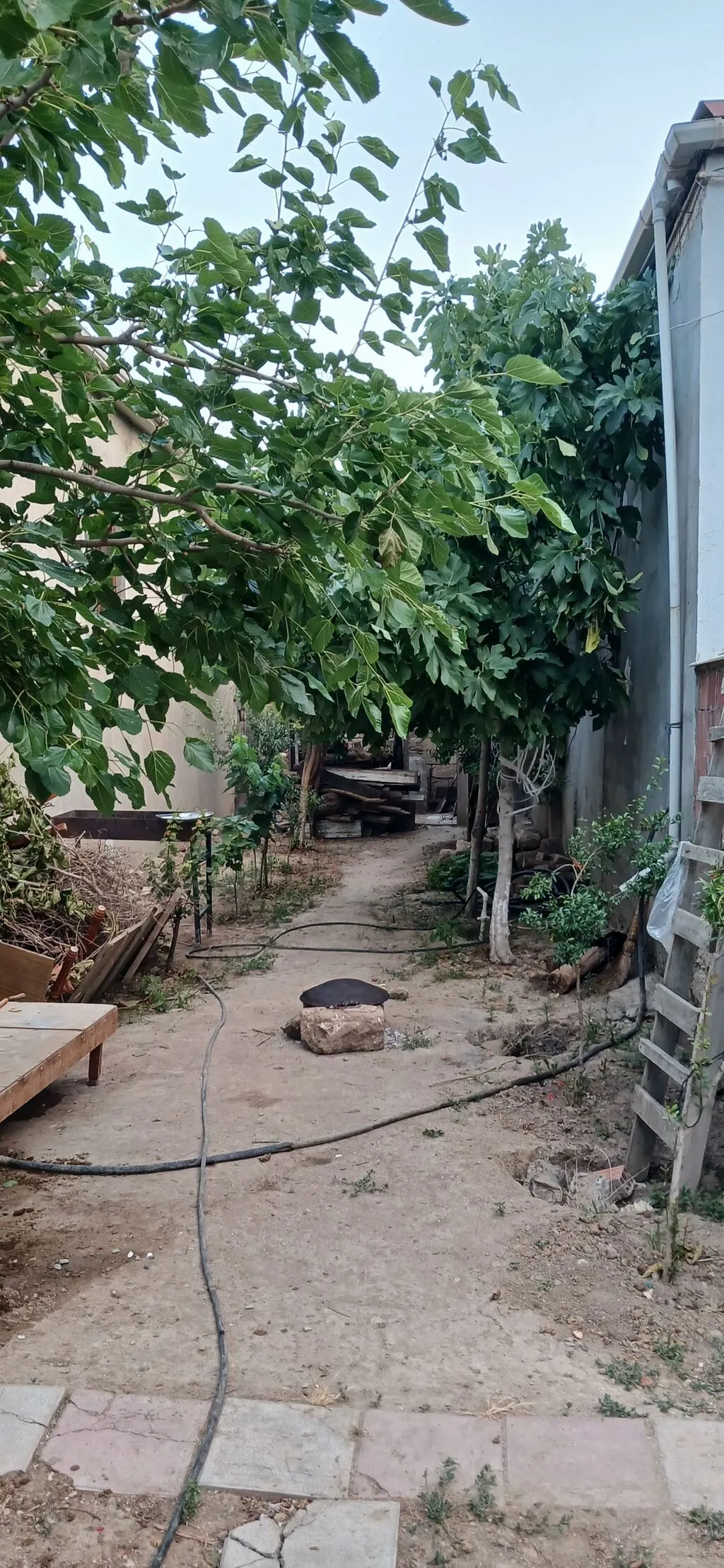 Həyət evi, 4 otaqlı, 130 m², satılır, Digah — 11