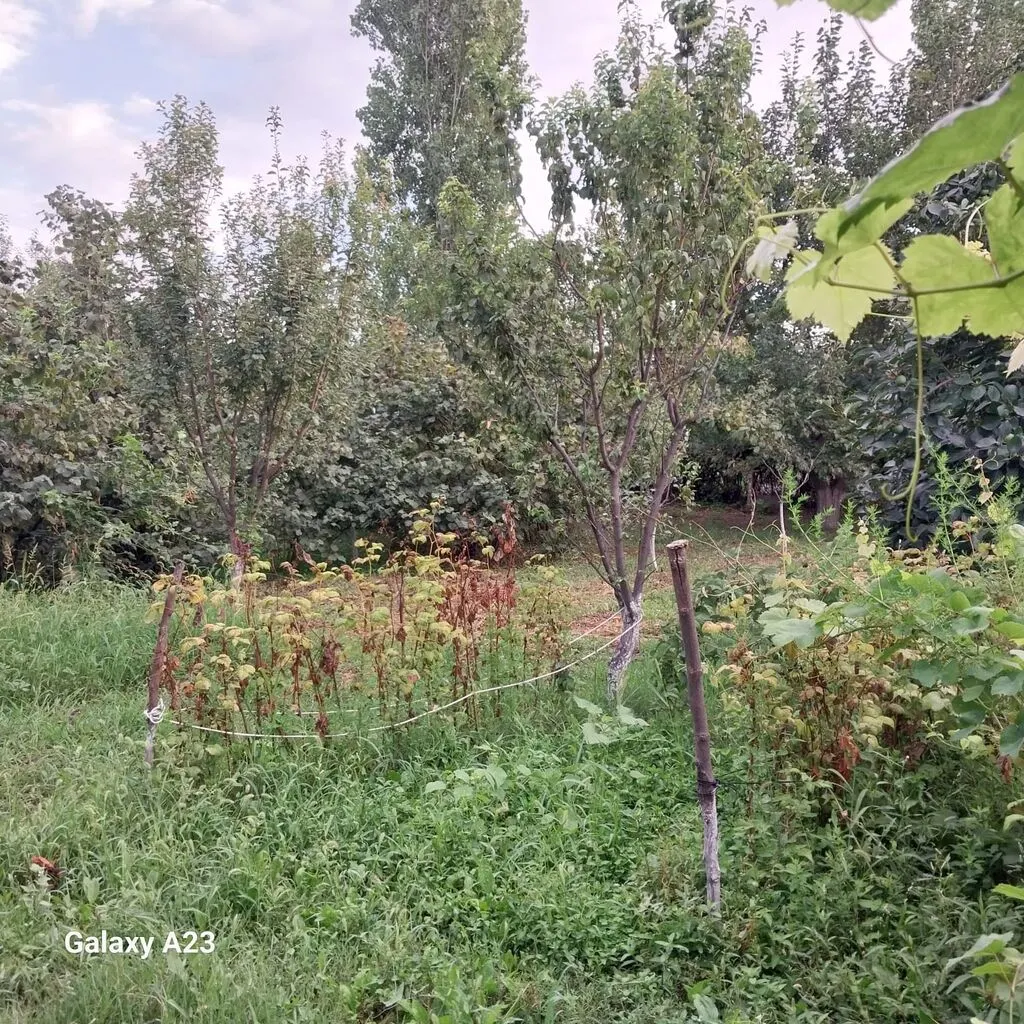 Həyət evi, 6 otaqlı, satılır, Padar — 7