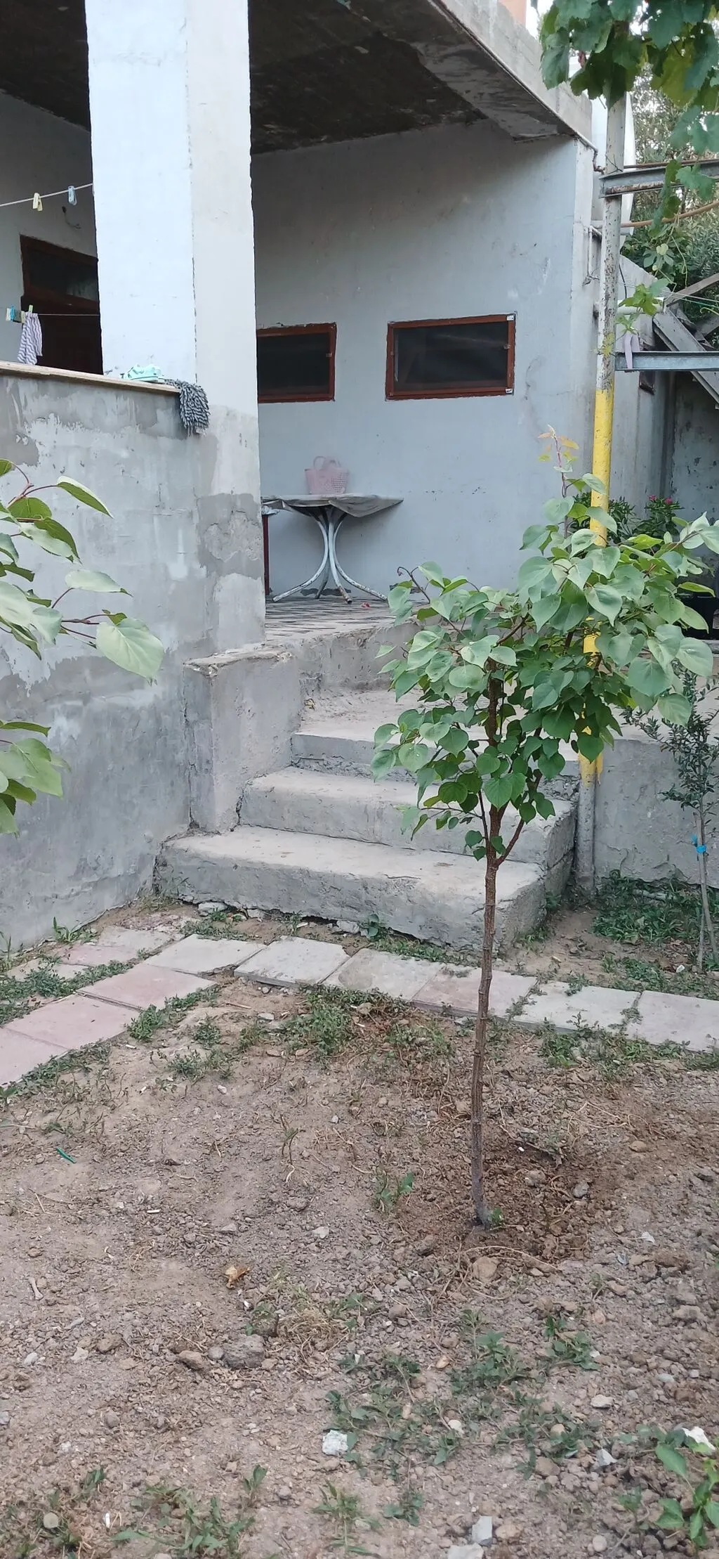 Həyət evi, 4 otaqlı, 130 m², satılır, Digah — 13