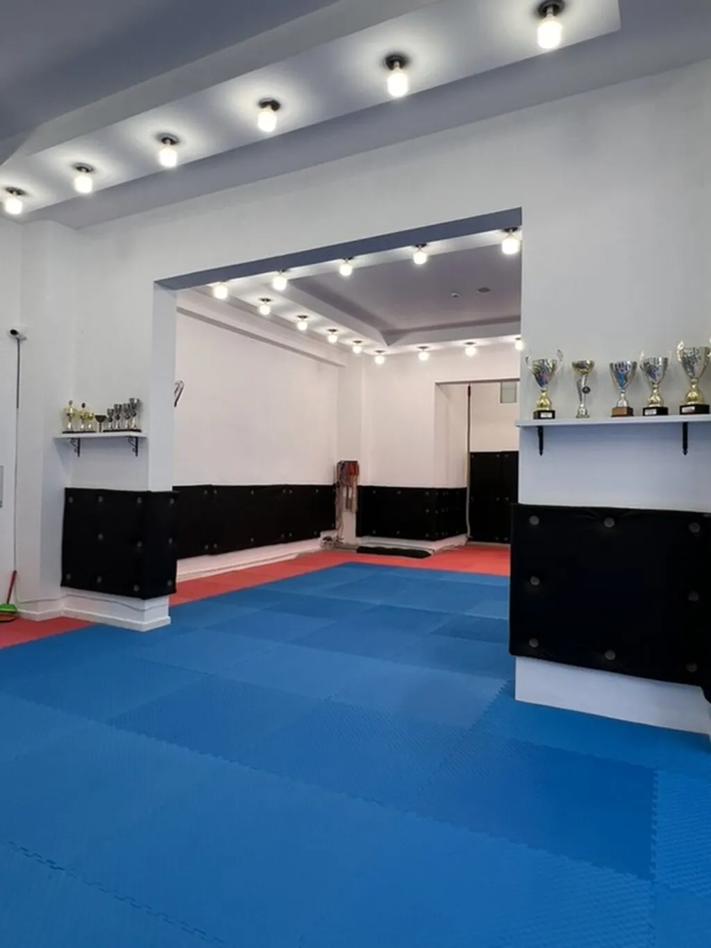 Obyekt, 135 m², icarəyə verilir, Bakı — 6