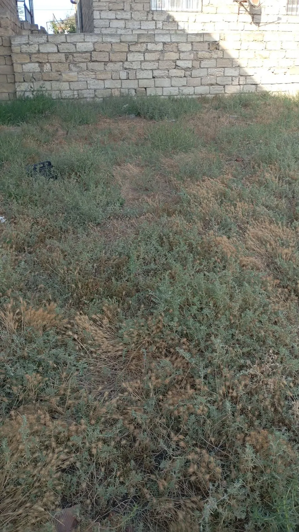 Torpaq, satılır, Digah — 2