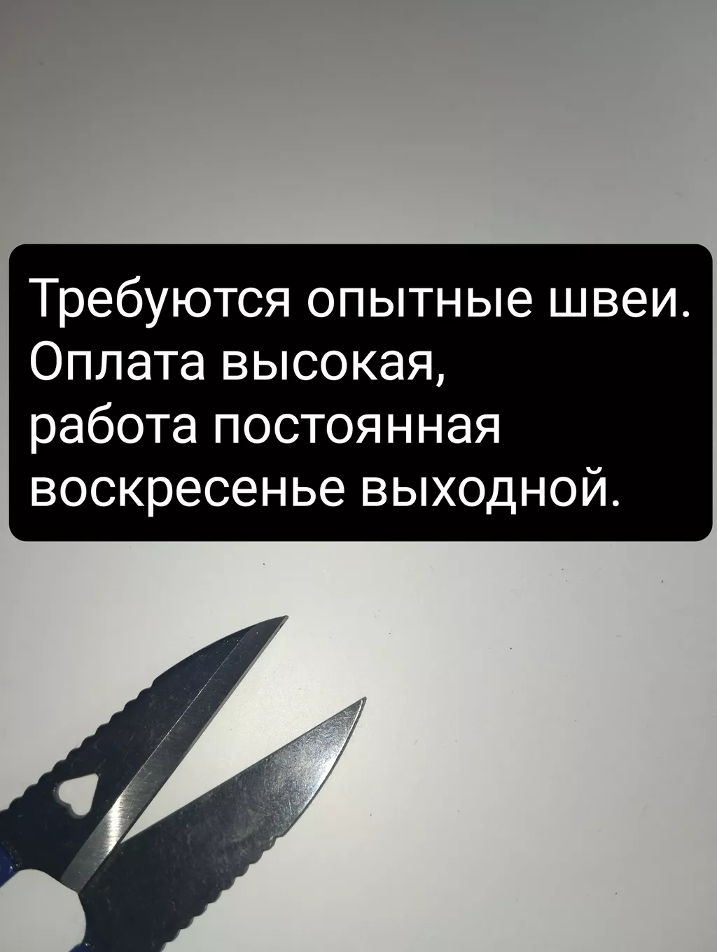 требуется швея рабочий городок: Сокулук ᐈ Работа ▷ 93 объявлений ➤ lalafo.kg