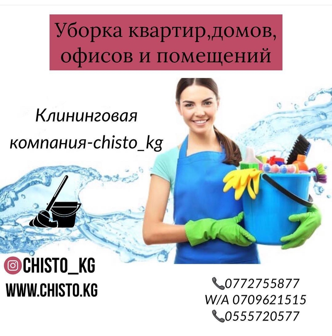 Www Chisto Ru Интернет Магазин