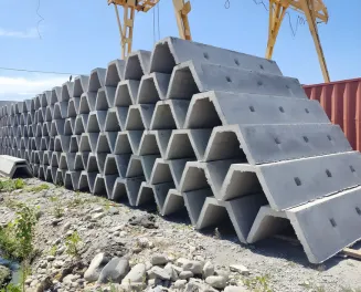 Арык лотоктор