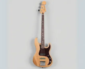 Bas gitaralar